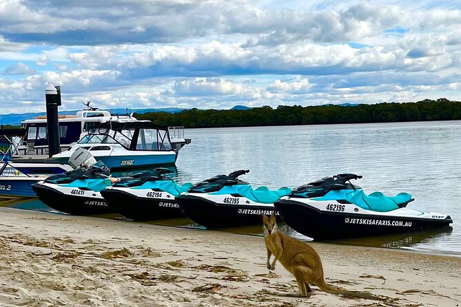 1.5 hr Jet Ski Safari tour to South Stradbroke Island! - Age rules for families and mixed groups
