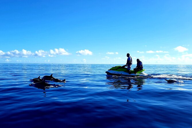 1-hour jet ski excursion in Tahiti - Wildlife sightings are a welcome bonus