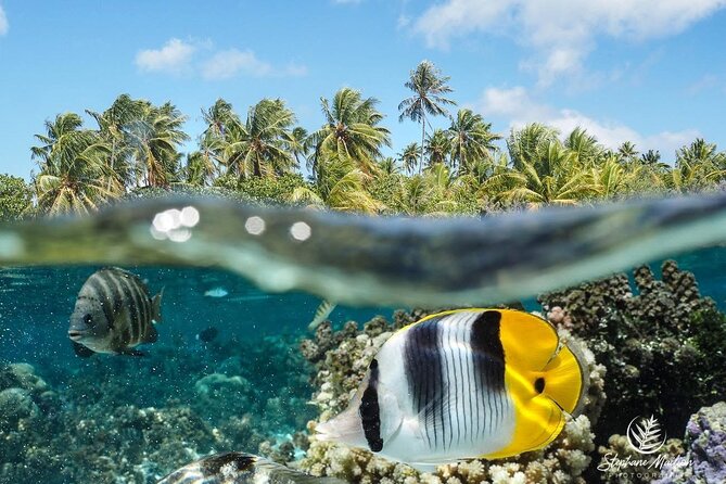 1-hour jet ski excursion in Tahiti - Is $140 per person good value?