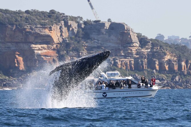 1 Hour Jet Ski Safari - Who will enjoy the route most