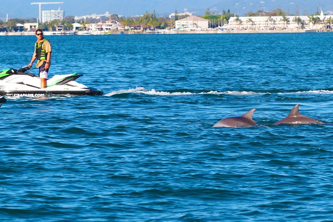 1hr Jet Ski Safari - From Main Beach to open water