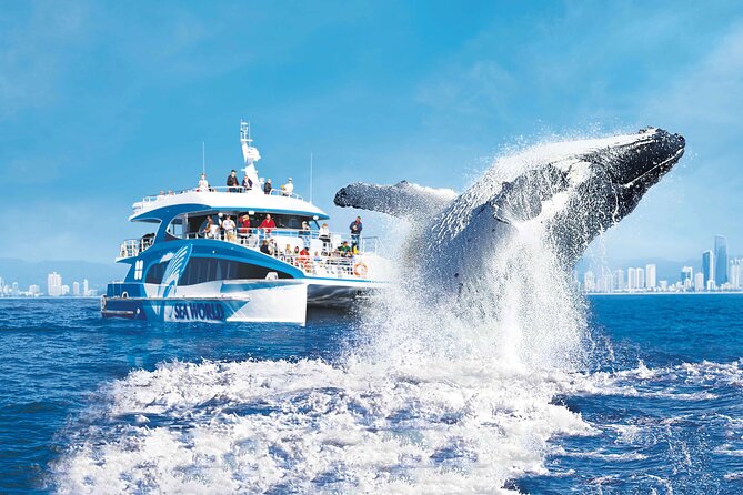 1hr Jet Ski Safari - Age rules and who should book