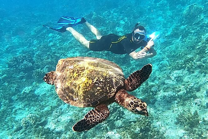 2-hour Jet Ski outing in Puna'auia - Timing, weather, and cancellation rules