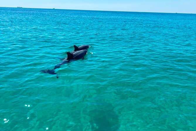 2 Hours Shell Island Jet Ski Tour - What the guides add to the experience