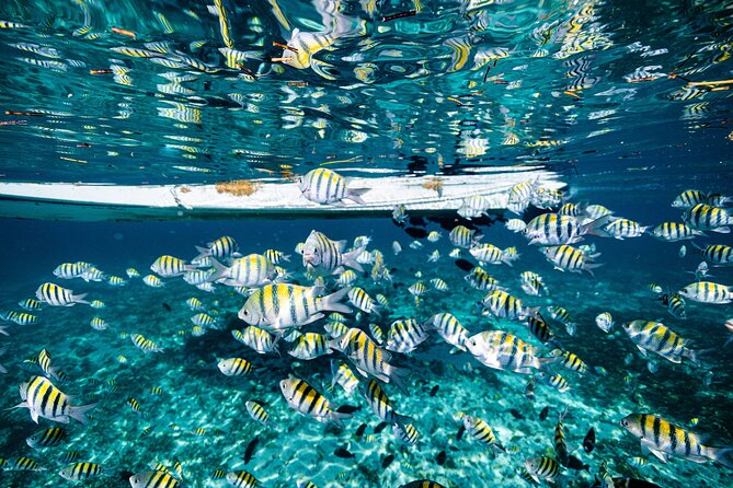 2 in 1 Parasail Cancun and Jet ski - Thirty minutes on the jet ski