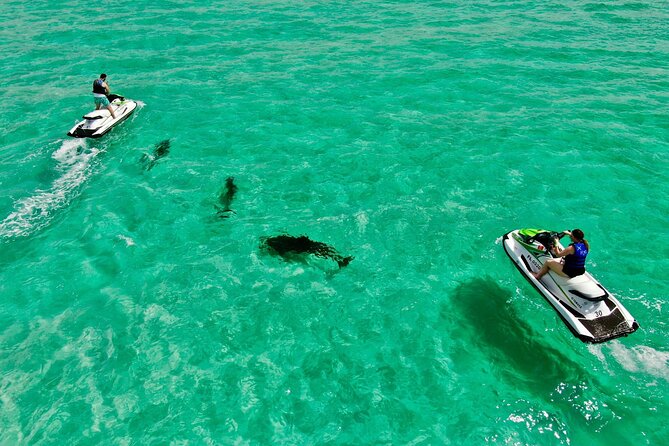 2 Passenger Jet Ski Dolphin Tour from Gilligan’s Watersports - Choctawhatchee Bay gives you a calmer start
