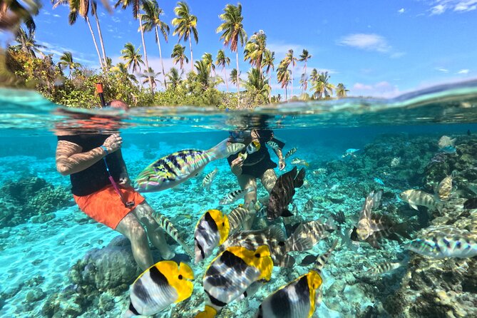 3H Adventure in JET SKI Snorkeling and Tahaa Lagoon - Key points at a glance