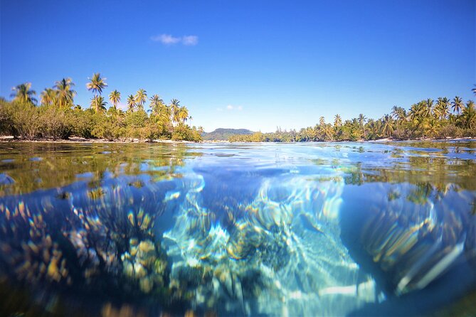 3H Adventure in JET SKI Snorkeling and Tahaa Lagoon - Guides, group size, and the human side
