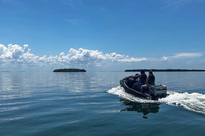 90 Minute Jet Ski Ft Desoto Sand Bar Tour - What the private format changes
