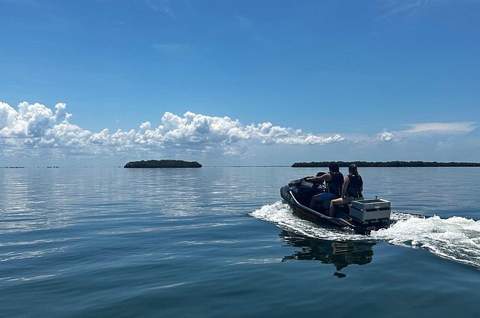 90 Minute Jet Ski Ft Desoto Sand Bar Tour - How the $199 price measures up