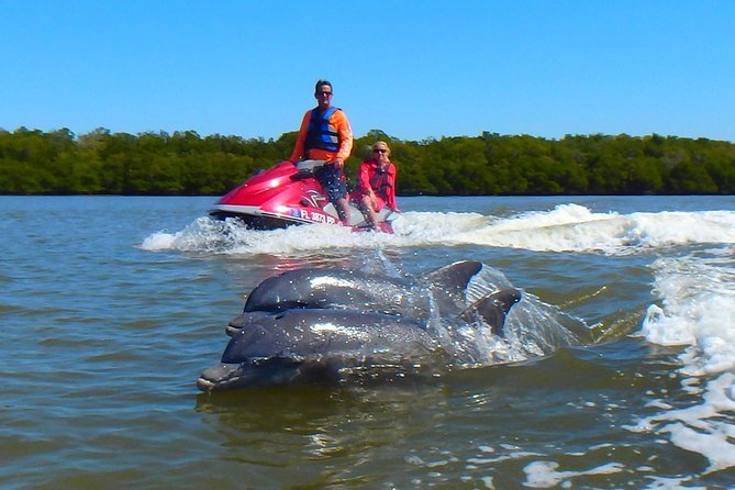 Avi's Premium Dolphin Tour by Jet Ski - Key points to know before booking