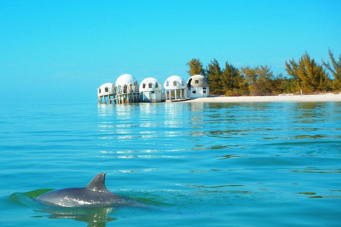 Avi's Premium Dolphin Tour by Jet Ski - Riding from Goodland into the 10,000 Islands