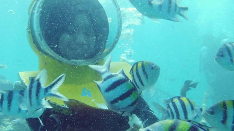 Bali: Sea Walk, Solo Jetski and Parasailing with Pickup - Rising Above the Turquoise Water