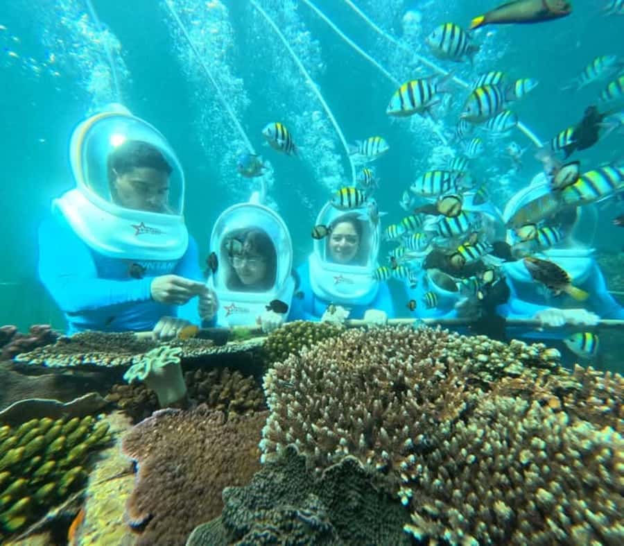 Bali: Tanjung Benoa Jet Ski or Sea walker Adventure - The Seawalker Alternative