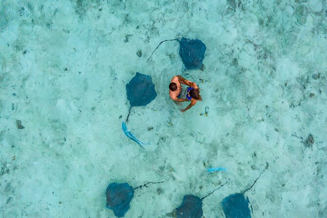 Bora Bora adventure Private Combo Jet Ski and Eco Sharks Snorkel - Why the private format matters on the water