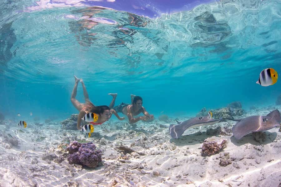 Bora Bora: Jet Ski, Lunch & Shark/ Ray Safari - What you see from the lagoon
