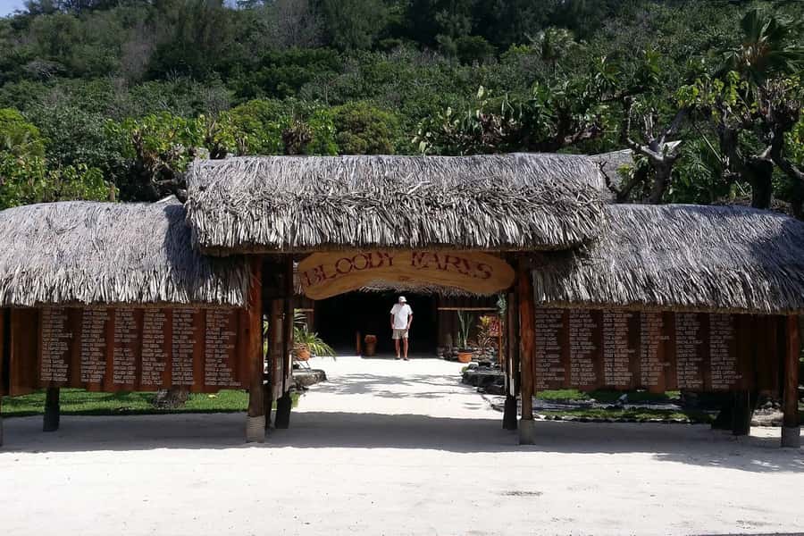 Bora Bora: Jet Ski, Lunch & Shark/ Ray Safari - Looking for sharks, rays, and reef fish