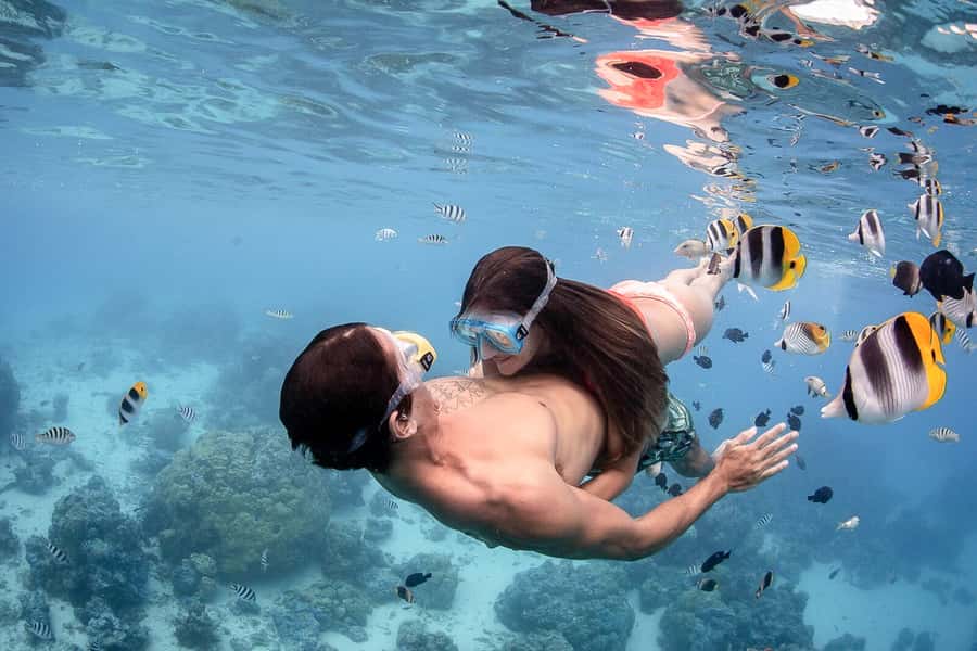 Bora Bora: Jet Ski, Lunch & Shark/ Ray Safari - Is $295 a fair price?