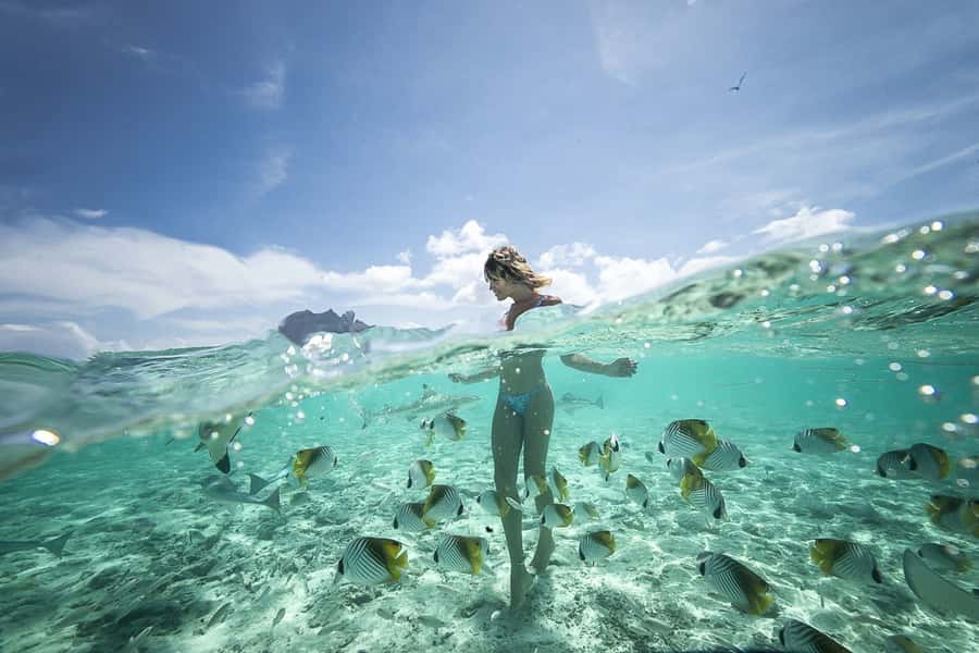 Bora Bora: Jet Ski, Lunch & Shark/ Ray Safari - Starting with a two-hour jet ski circuit
