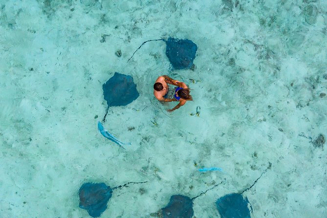 Bora Bora Jet Ski Tour, & Eco Shark / Ray Snorkel Cruise - The motu stop, swimming, and coconut lesson