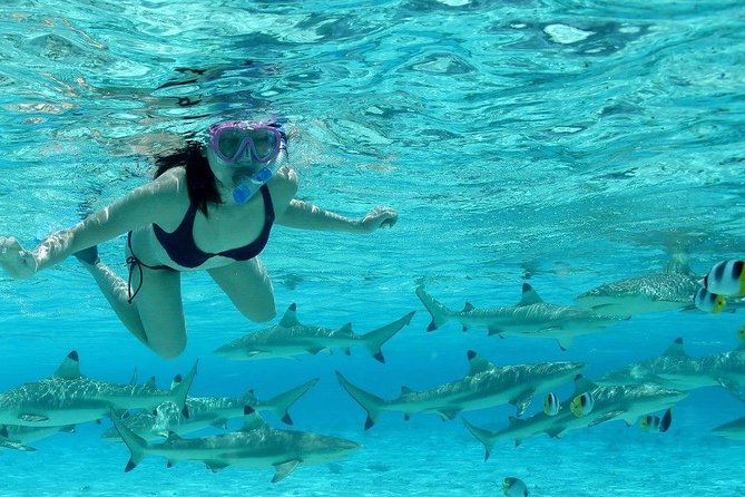 Bora Bora Jet Ski Tour, & Eco Shark / Ray Snorkel Cruise - Guides, safety, and the level of personal attention
