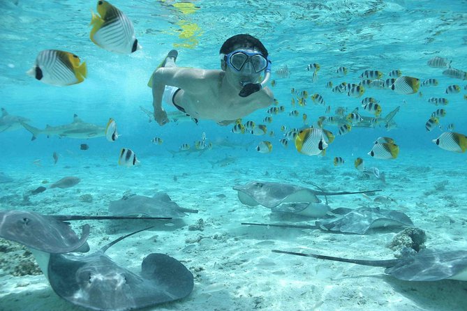 Bora Bora Jet Ski Tour, & Eco Shark / Ray Snorkel Cruise - Rough water, weather, and what the day feels like