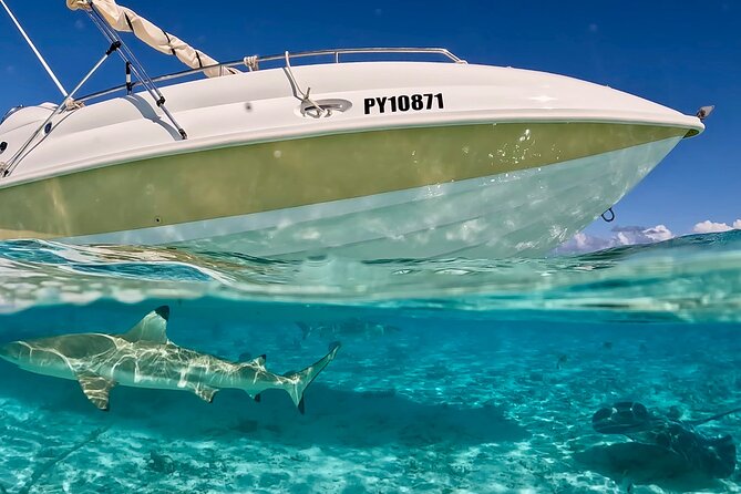 Bora Bora Jet Ski Tour, & Eco Shark / Ray Snorkel Cruise - Who will enjoy this tour most
