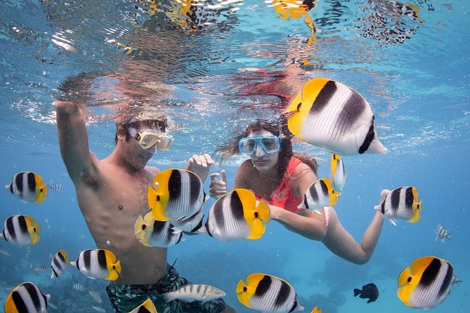 Bora Bora Jet Ski Tour, & Eco Shark / Ray Snorkel Cruise - The morning jet ski ride and Mt. Otemanu views