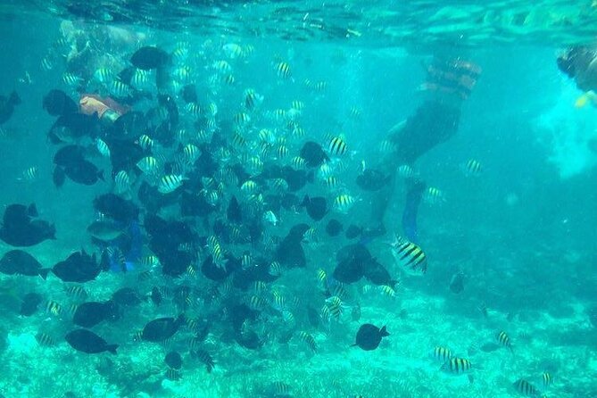 Cancun Jetski and Snorkel Adventure - From Marina del Rey into Nichupte Lagoon