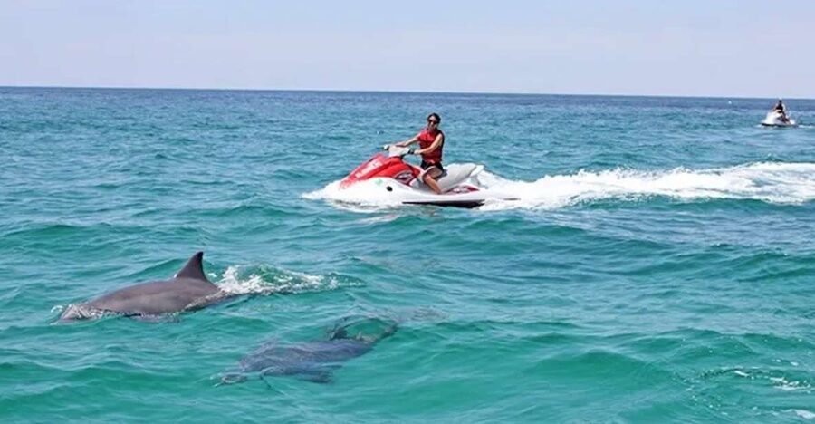 Cape Coral and Fort Myers: Wild Life Jet Ski Tour - Key points to know before you book