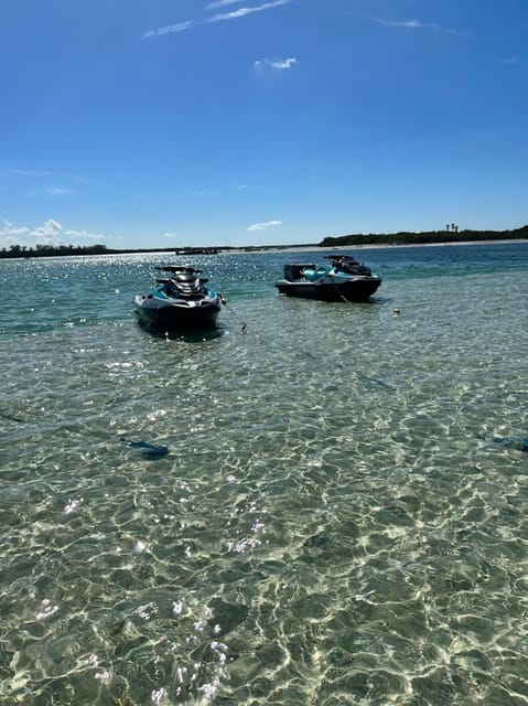 Clearwater: 1 Hour Jetski Dolphin Tour with Guide - Sharing one ski with up to three people