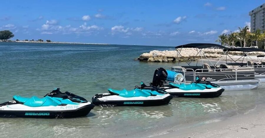 Clearwater: 1 Hour Jetski Dolphin Tour with Guide - Who will enjoy this ride most
