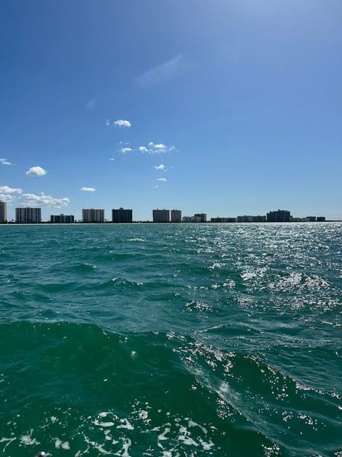 Clearwater: 1 Hour Jetski Dolphin Tour with Guide - Florida’s boating-safety requirement