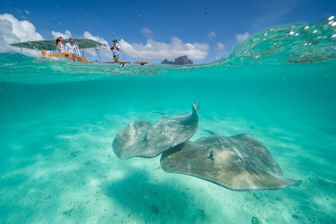 Combo snorkeling + motu lunch + jet ski group tour full day - A private motu turns lunch into a real part of the trip
