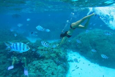 Combo snorkeling + motu lunch + jet ski group tour full day
