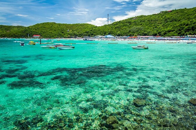 Coral Island speed boa-Parasailing and others activities choice - Key points to know before you book