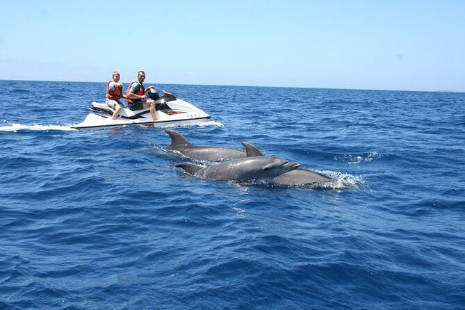 Crab Island Dolphin Jet Ski Adventure - Key points to know before you book