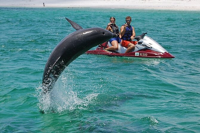 Crab Island Dolphin Jet Ski Adventure - From the Fort Walton Beach dock to Crab Island