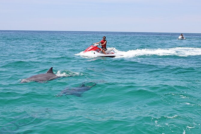 Crab Island Dolphin Jet Ski Adventure - Searching for dolphins near Destin Harbor