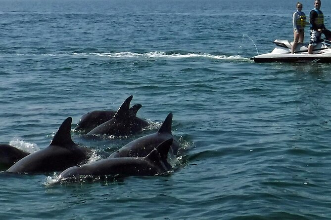 Crab Island Dolphin Jet Ski Adventure - Who will enjoy this jet ski adventure