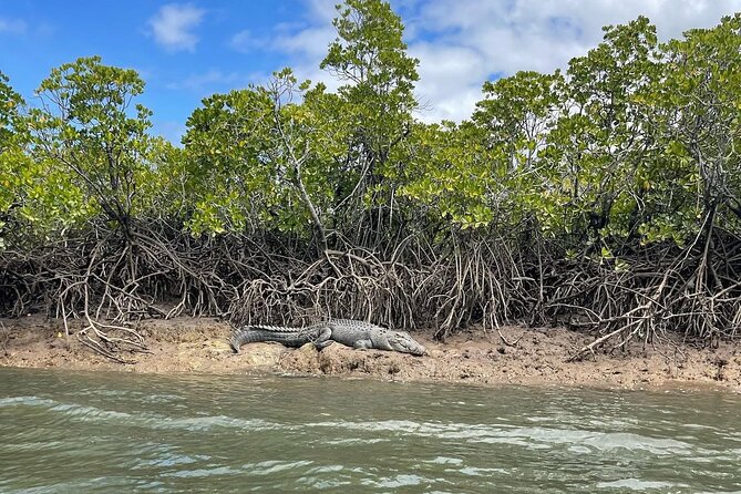 Croc Spotting Jetski Experience in Cairns City - Learning the ropes before the mangroves