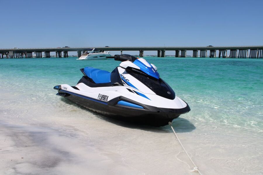 Destin and Fort Walton Beach Jet Ski Rental - Wildlife along the Gulf Coast