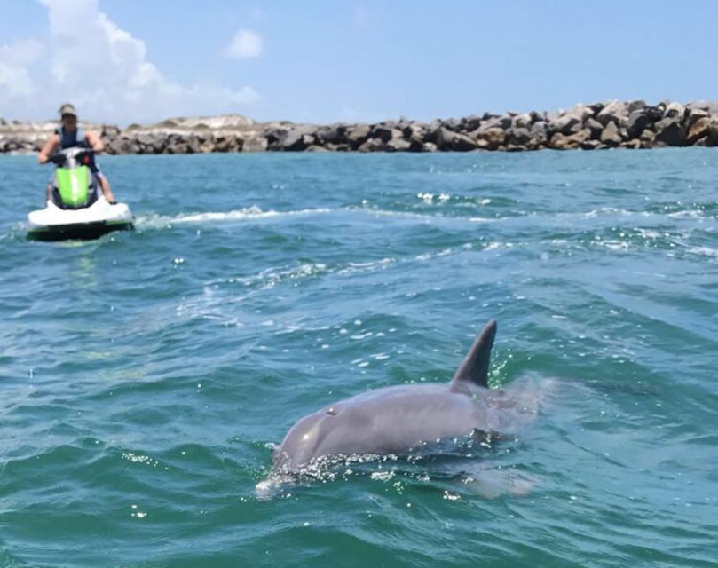 Destin: Crab Island Dolphin Jet Ski Tour - Sharing one jet ski with a partner or child