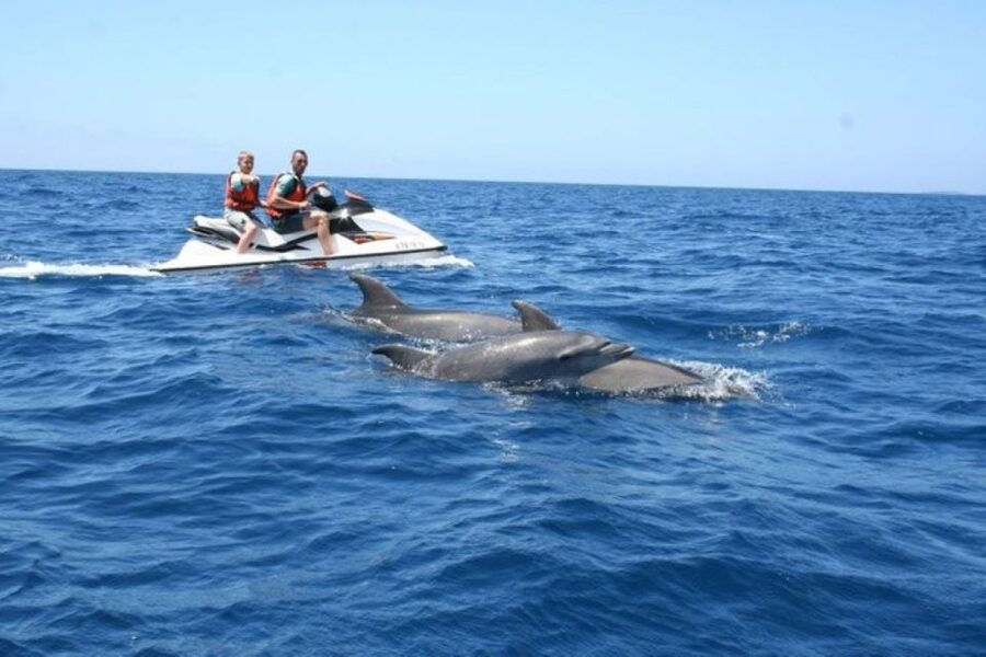 Destin: Crab Island Dolphin Jet Ski Tour - How to prepare for a smoother ride