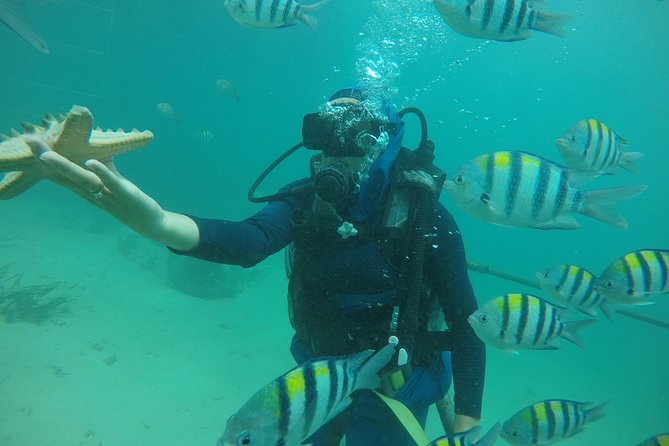 Discover Scuba Diving ( beginners) Combined With Jet Ski - Starting with pickup and the drive to Nusa Dua