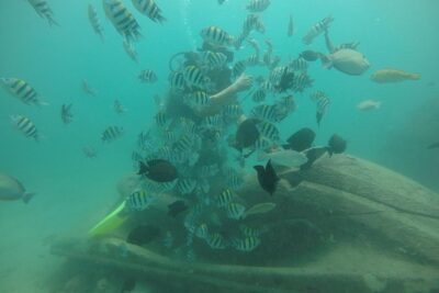 Discover Scuba Diving ( beginners) Combined With Jet Ski