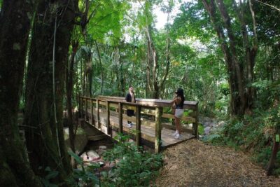 El Yunque Beach Jetski + Rainforest Hike Adventure Tour