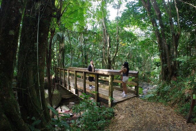 El Yunque Beach Jetski + Rainforest Hike Adventure Tour - Starting on the Río Grande beside El Yunque