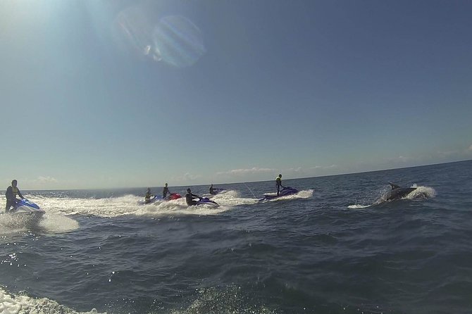 Escorted Coastal Tour by Jet Skis from St. Aubin - Wildlife sightings are a bonus, not a promise