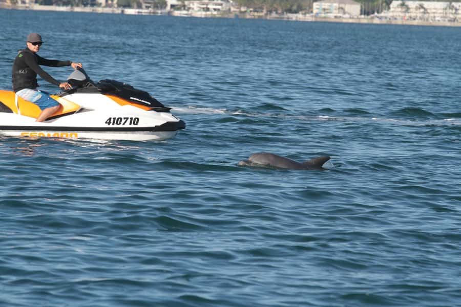 Gold Coast: 30 min Jet Ski Hire - No Slow Zones - Key points before you book